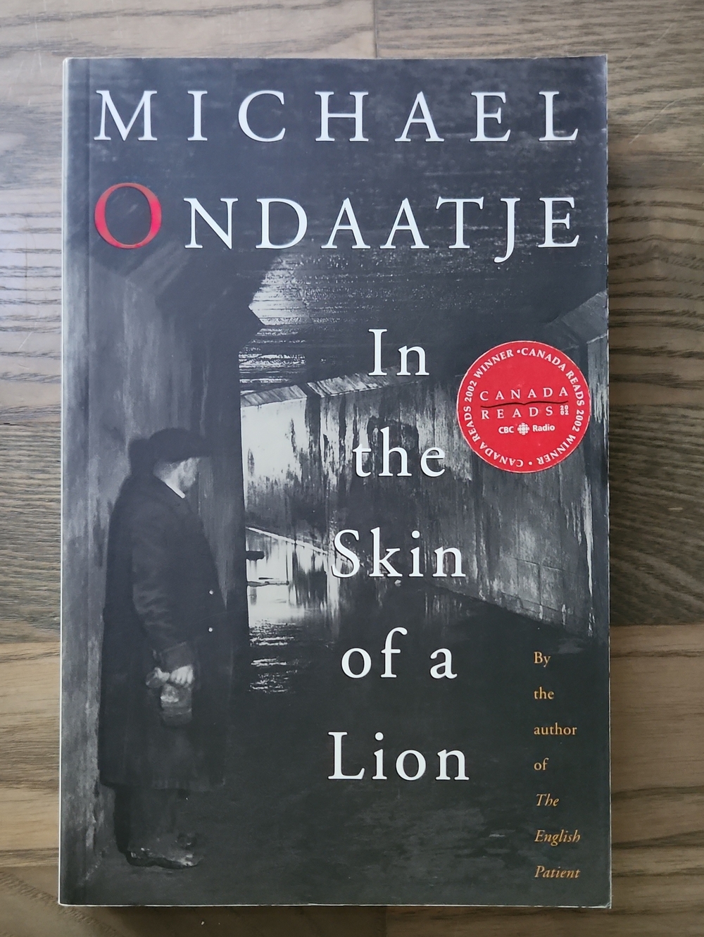 In The Skin Of A Lion By Michael Ondaatje
